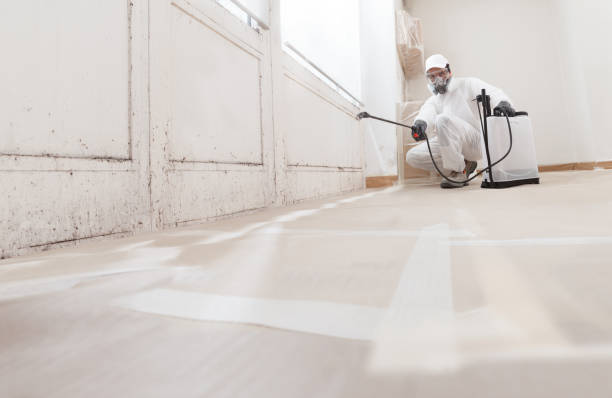 24/7 Emergency Mold Testing experts in Port Trevorton, PA